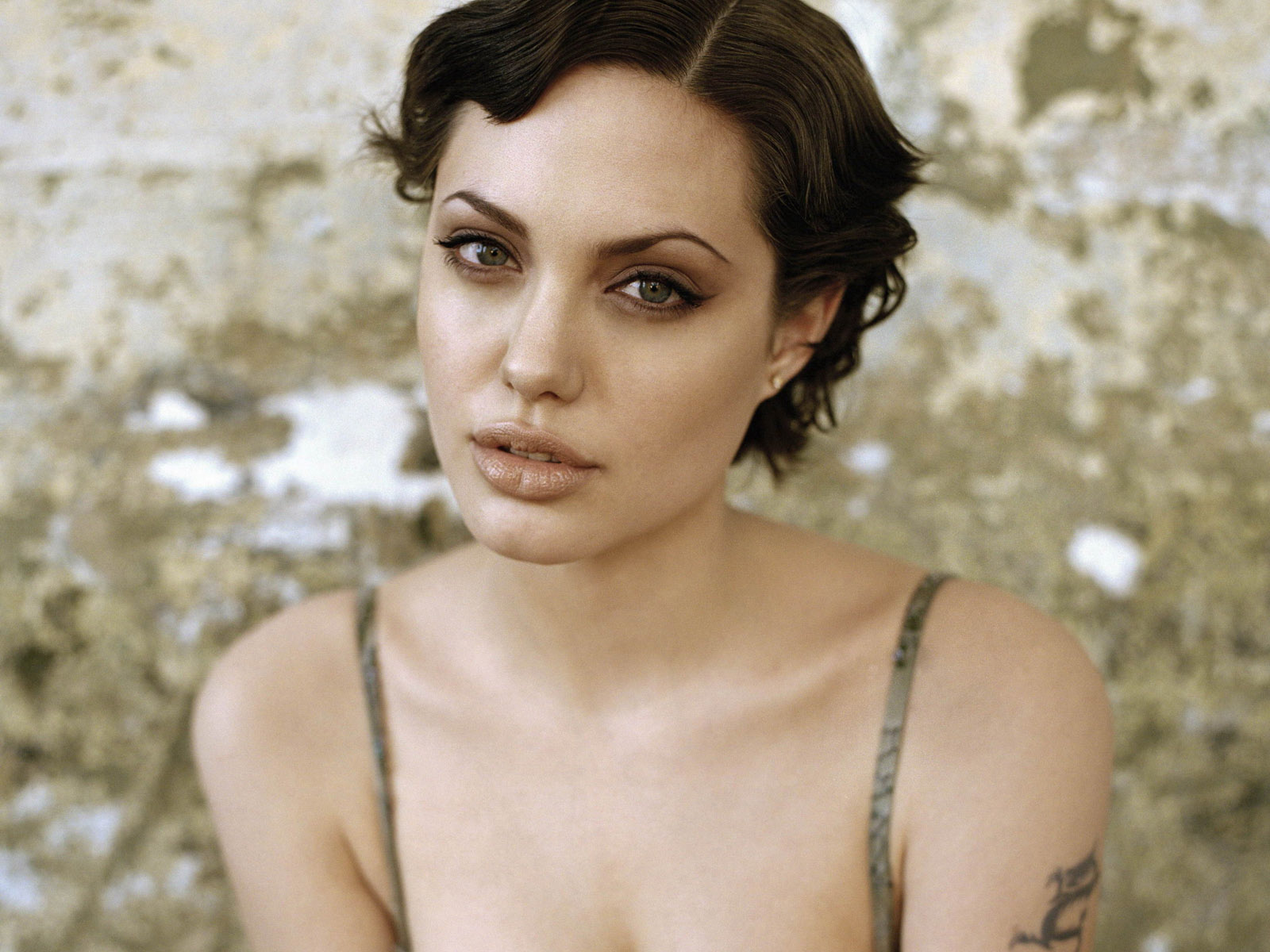 Красивая Анджелина Джоли на эротических снимках. Фото с голой Анджелиной Джоли